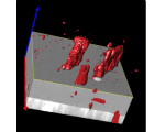 3D可視化與定量分析